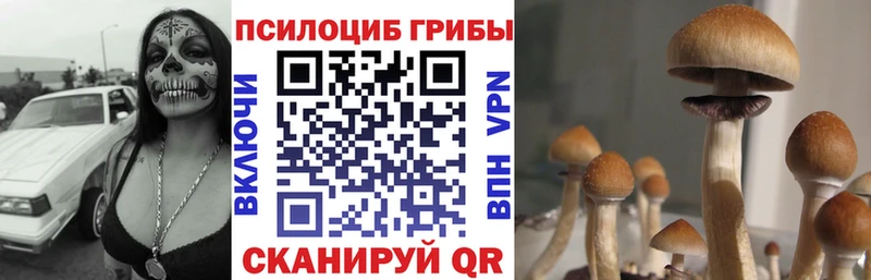 hydra ССЫЛКА  маркетплейс как зайти  Галлюциногенные грибы Psilocybine cubensis  Лаишево 
